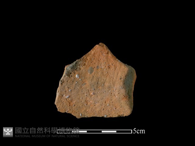 陶罐藏品圖，第2張