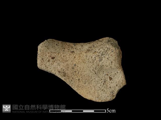 陶罐藏品圖，第2張