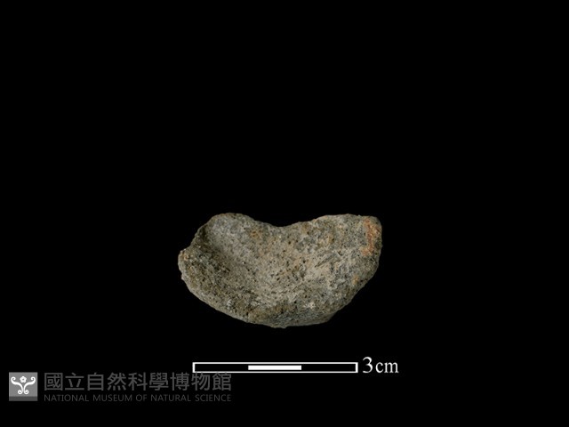 陶片藏品圖，第2張