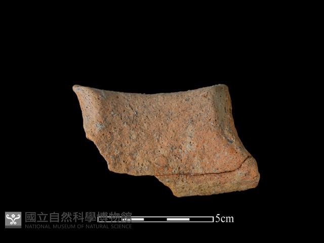 陶片藏品圖，第1張