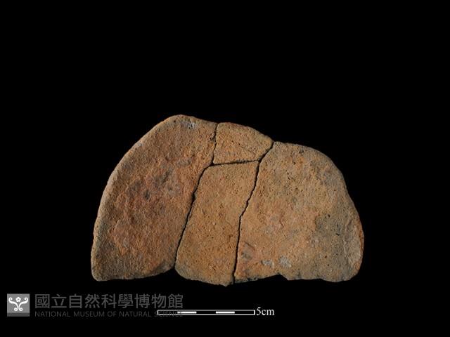 陶片藏品圖，第2張