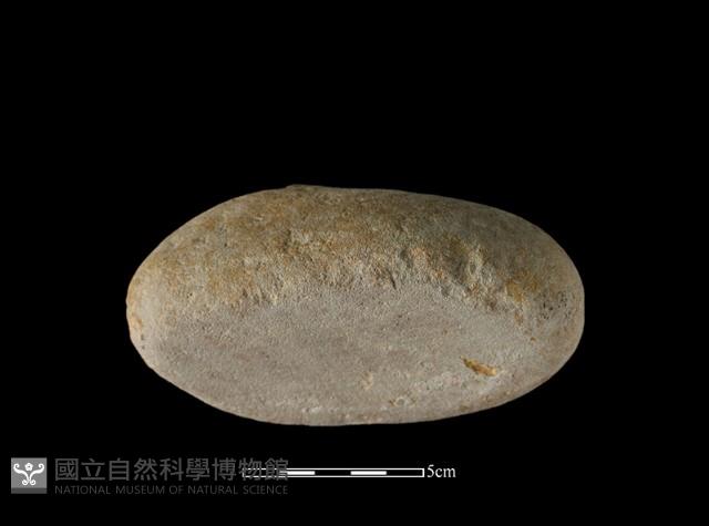 Accession Number:AHR336-2017-007 Collection Image, Figure 2, Total 4 Figures