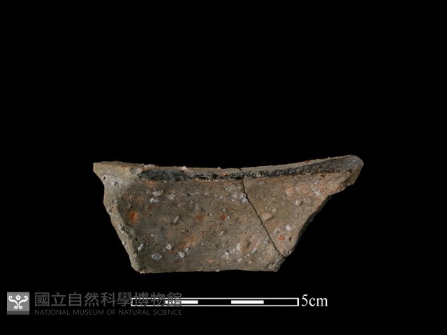 陶片藏品圖，第2張