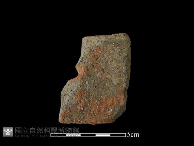 陶片藏品圖，第1張