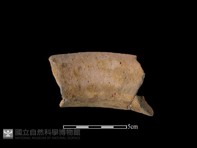 陶罐藏品圖，第2張