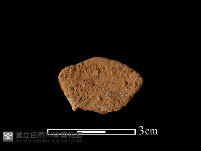 陶片藏品圖，第2張