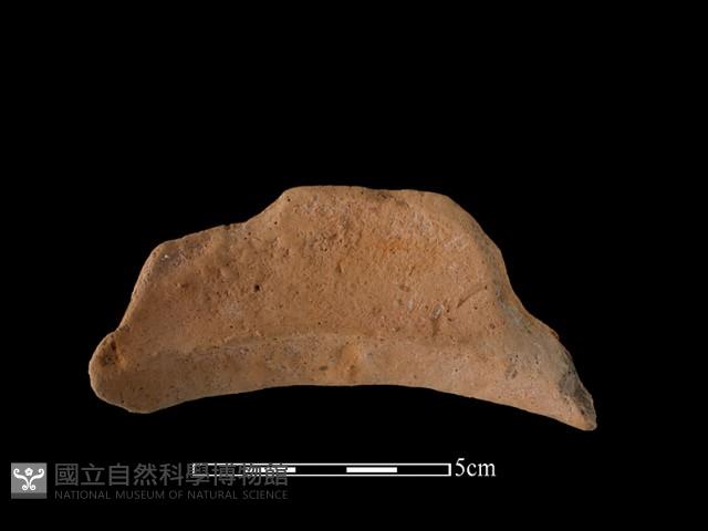 陶罐藏品圖，第1張