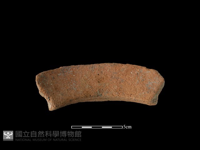 陶罐藏品圖，第1張