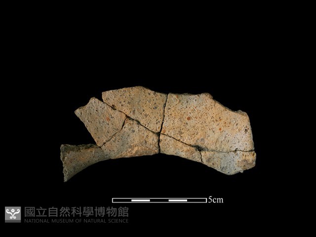 陶罐藏品圖，第2張