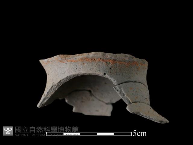 陶片藏品圖，第1張