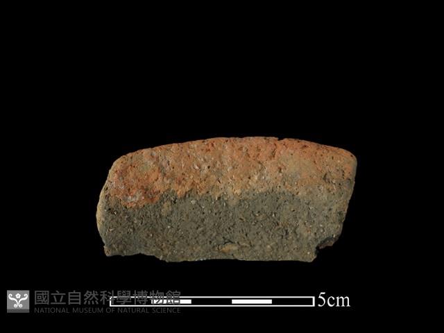 陶罐藏品圖，第1張