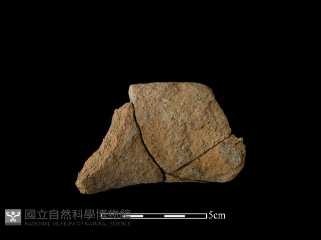 陶罐藏品圖，第1張