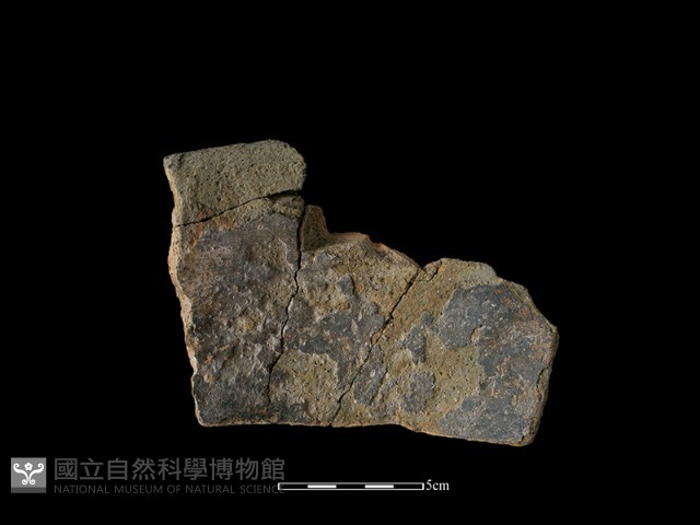陶罐藏品圖，第2張