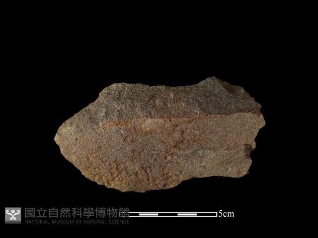 石片藏品圖，第1張