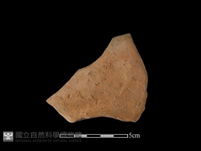 連杯形器藏品圖，第2張