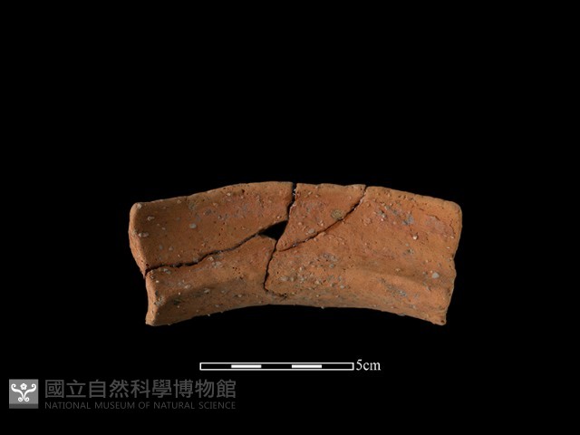 陶罐藏品圖，第1張