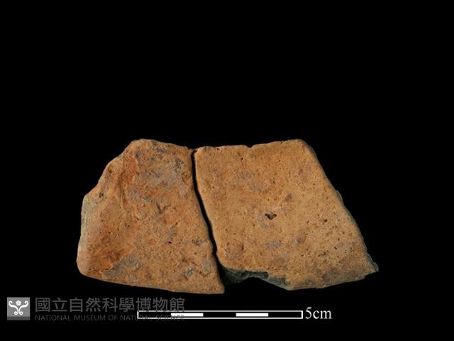 陶片藏品圖，第1張