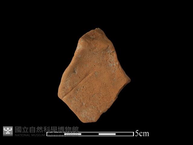 Accession Number:AHR336-2016-105 Collection Image, Figure 2, Total 2 Figures