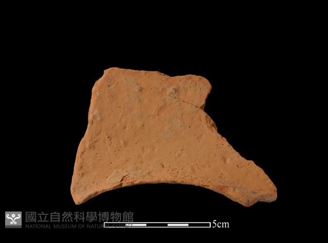 連杯形器藏品圖，第1張