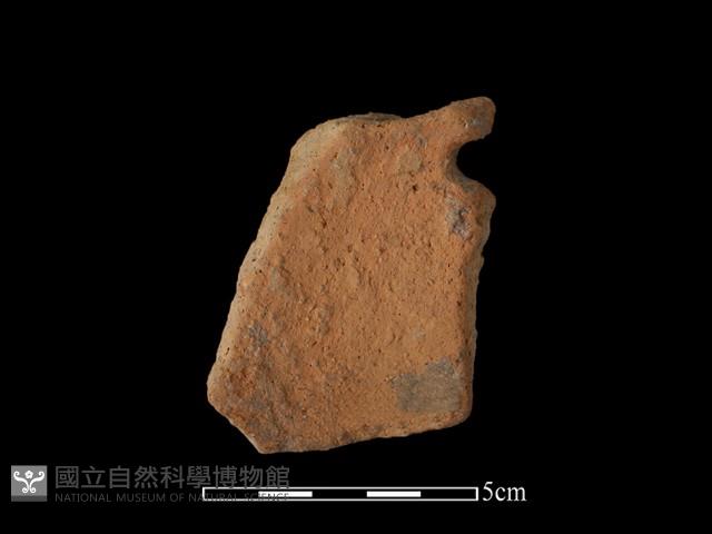 陶片藏品圖，第2張