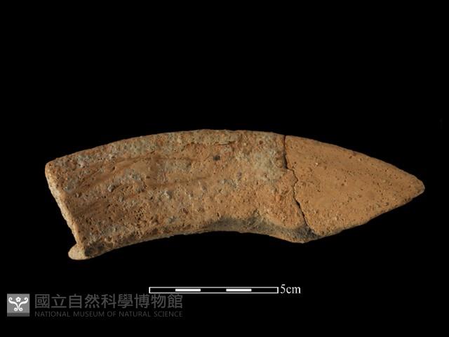 陶罐藏品圖，第1張