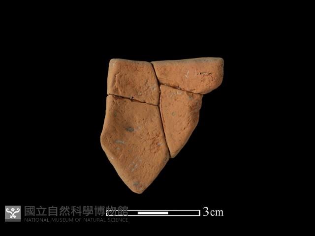 陶片藏品圖，第1張