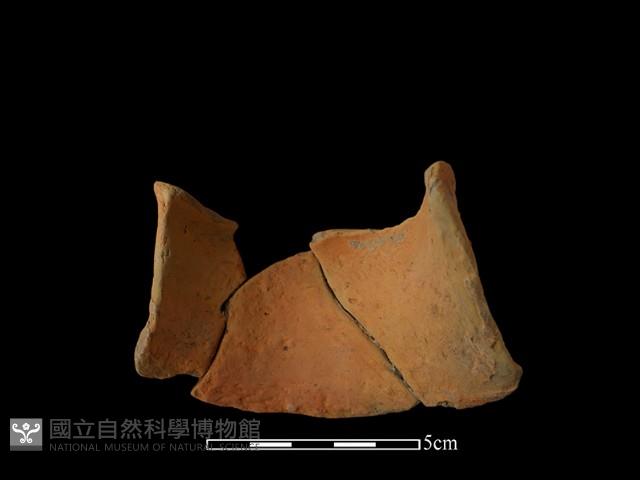 陶片藏品圖，第2張