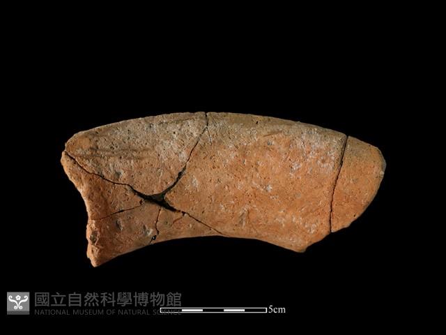 陶罐藏品圖，第1張