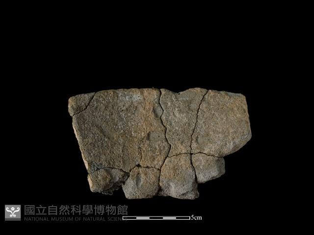 陶罐藏品圖，第2張