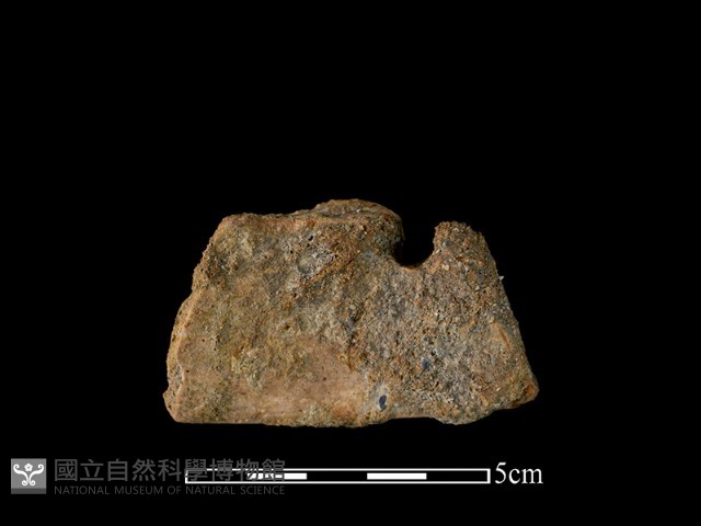 陶片藏品圖，第2張
