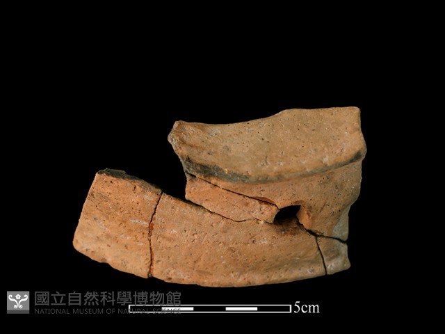 陶片藏品圖，第2張