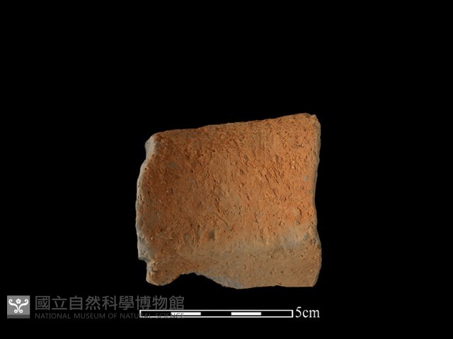 陶罐藏品圖，第2張