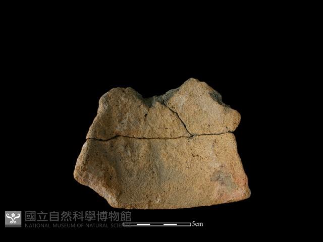 陶片藏品圖，第1張