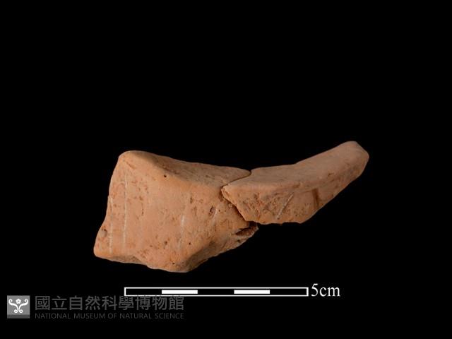 陶片藏品圖，第1張