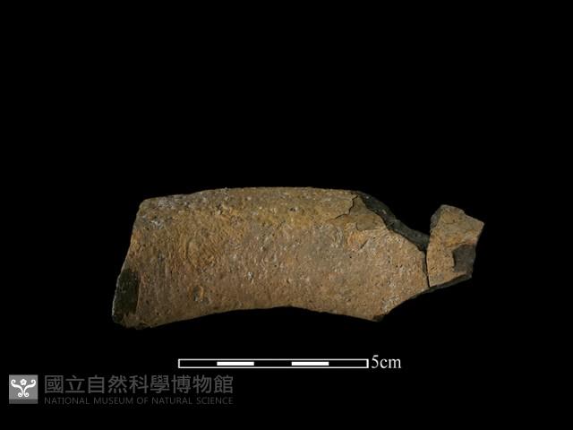 陶罐藏品圖，第1張