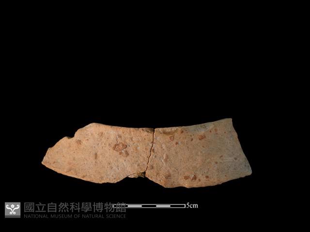 陶片藏品圖，第2張