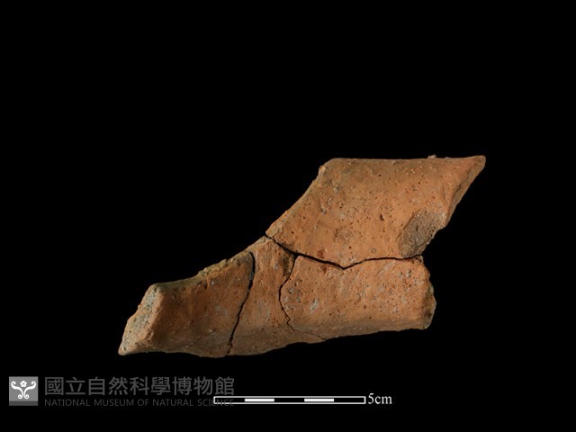 陶罐藏品圖，第1張