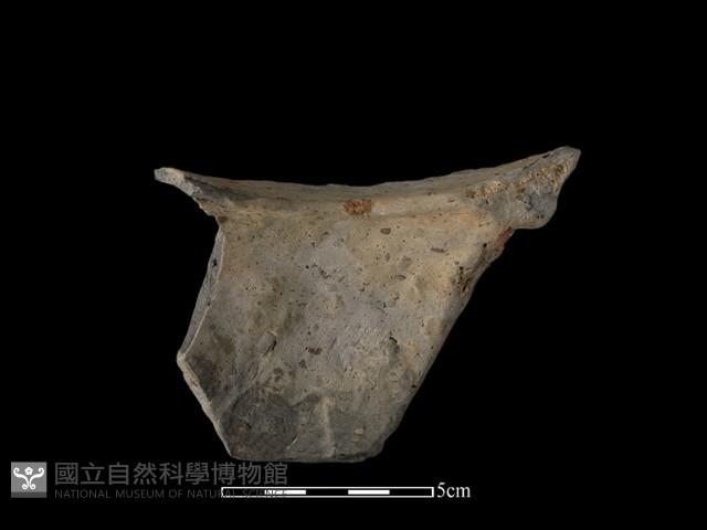 陶片藏品圖，第1張