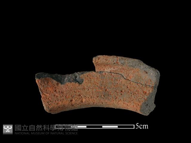 陶罐藏品圖，第1張