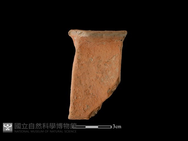 陶片藏品圖，第2張