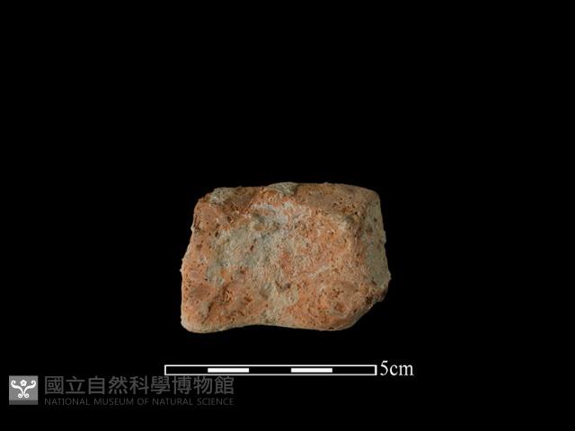 陶罐藏品圖，第2張