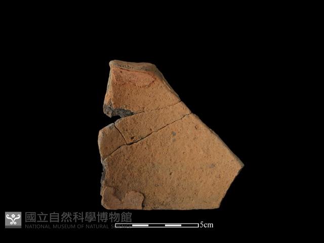 陶片藏品圖，第2張