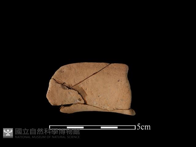 陶罐藏品圖，第1張