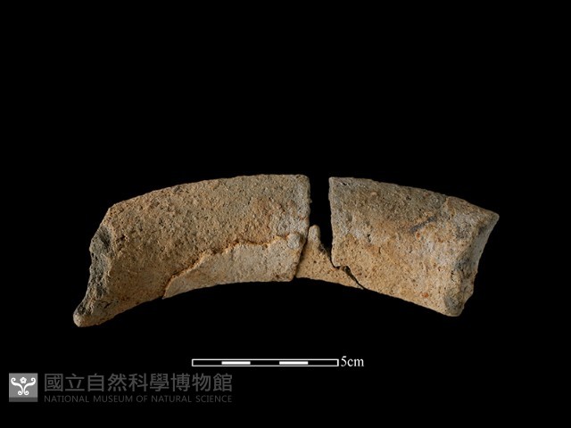 陶罐藏品圖，第1張