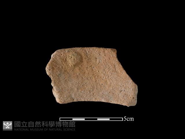 陶罐藏品圖，第2張