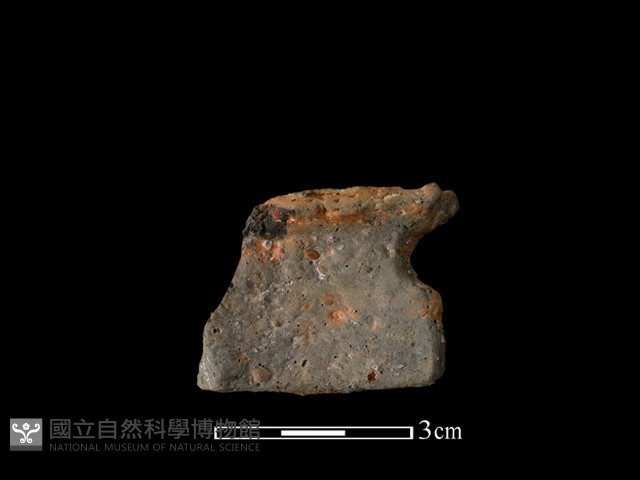 陶片藏品圖，第1張