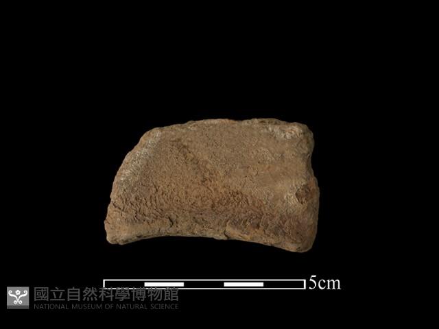 連杯形器藏品圖，第1張