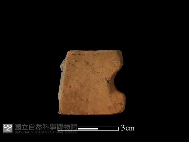 陶片藏品圖，第2張