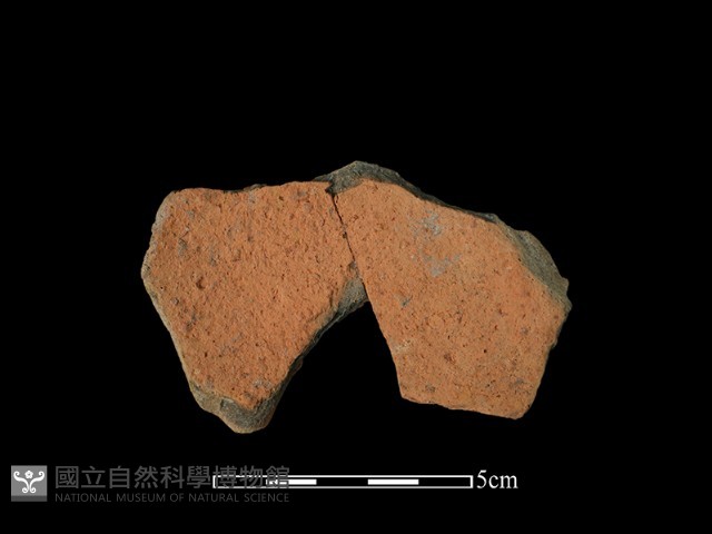 陶片藏品圖，第1張