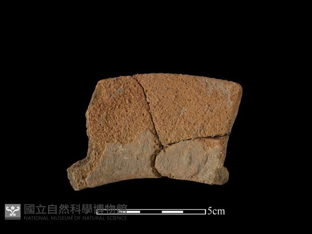 陶罐藏品圖，第1張